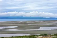 View 49