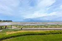 View 50