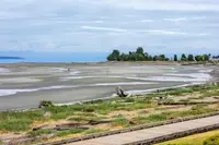View 48
