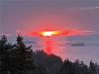 View 77