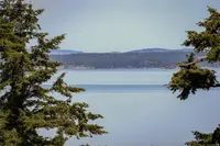 View 50