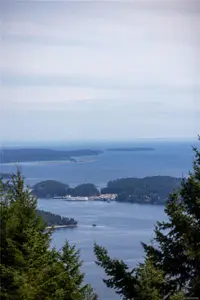 View 43