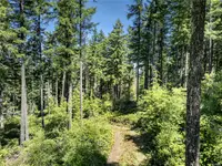 View 63