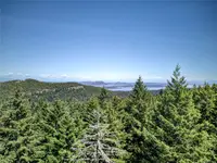 View 65