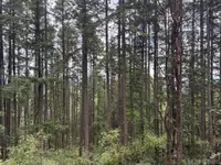 View 4