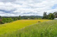View 23