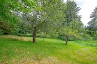 View 19