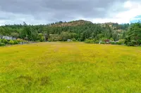 View 24