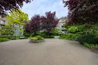 View 24