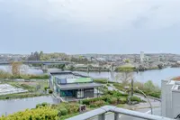 View 31