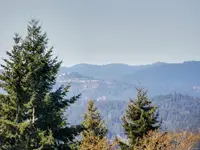 View 35