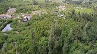 View 13