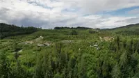 View 14