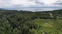 View 21