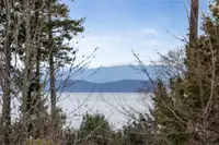 View 46