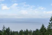 View 45