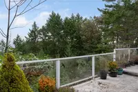 View 50