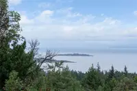 View 44