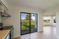 View 39