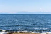 View 73