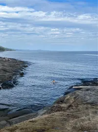 View 88