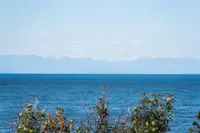 View 30