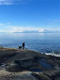 View 89