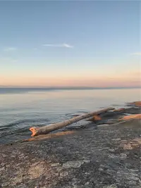 View 86