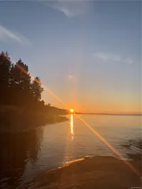 View 87