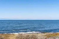 View 74