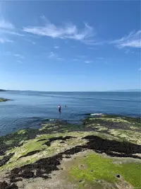 View 85