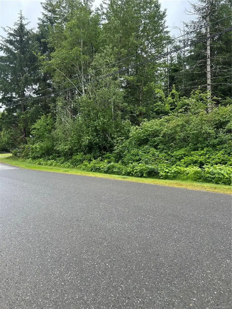 Lot 3 Despins Rd, Sayward BC V0P 1R0