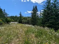 View 10