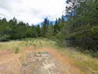 View 19