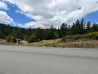 View 21