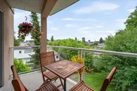 View 13