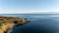 View 59