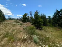 View 23