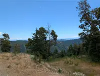 View 13