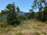 View 17