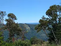 View 16