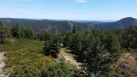 View 7