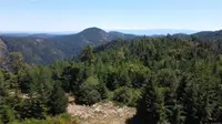 View 3