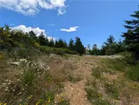 View 10