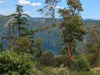 View 18