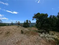View 11