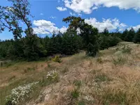 View 19