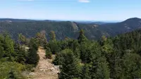 View 8