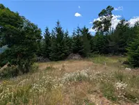 View 21