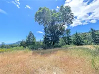 View 42